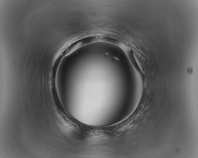 X0000091230244200708161722