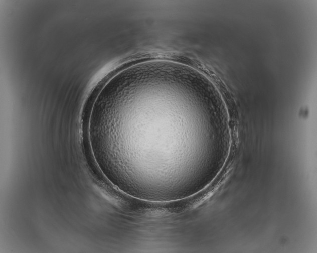 X0000091230246200708161722