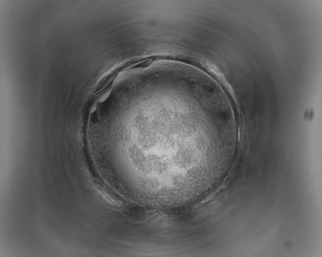 X0000091230249200708161722