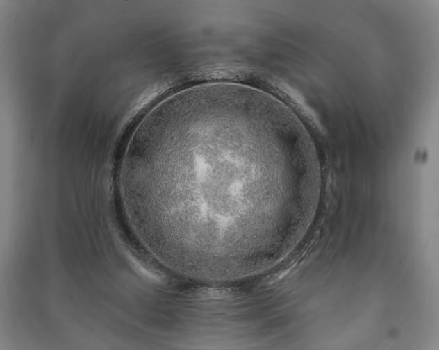 X0000091230250200708161722