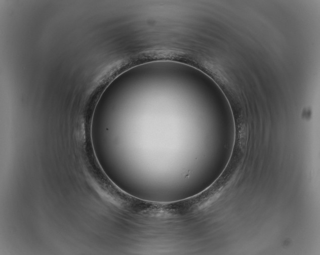 X0000091230254200708161722