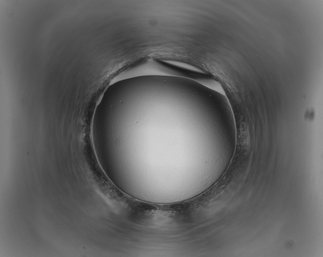 X0000091230255200708161722