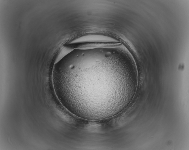 X0000091230257200708161722