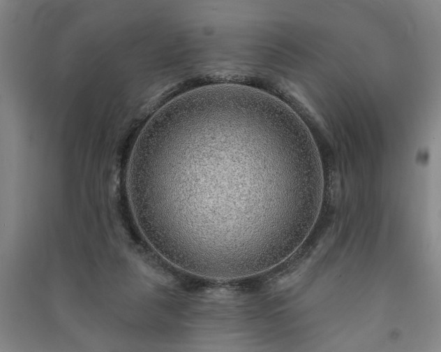 X0000091230259200708161722