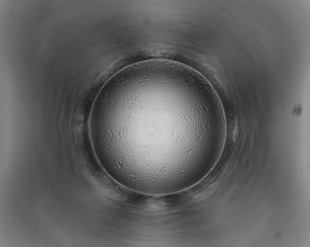 X0000091230263200708161722