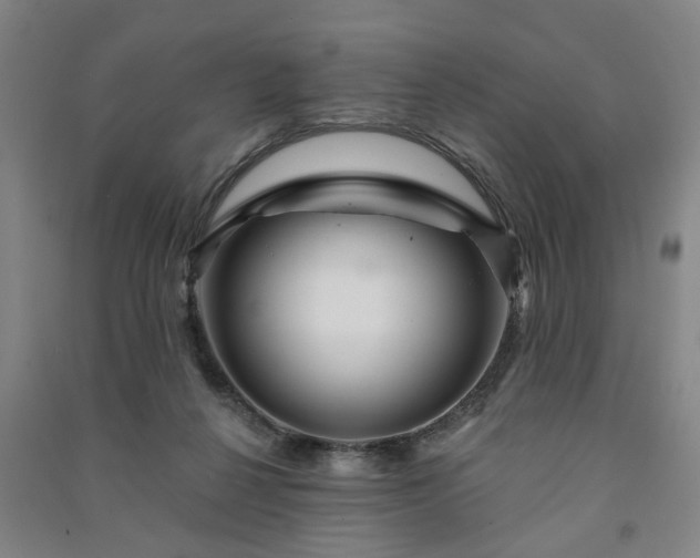 X0000091230264200708161722