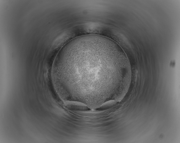 X0000091230266200708161722