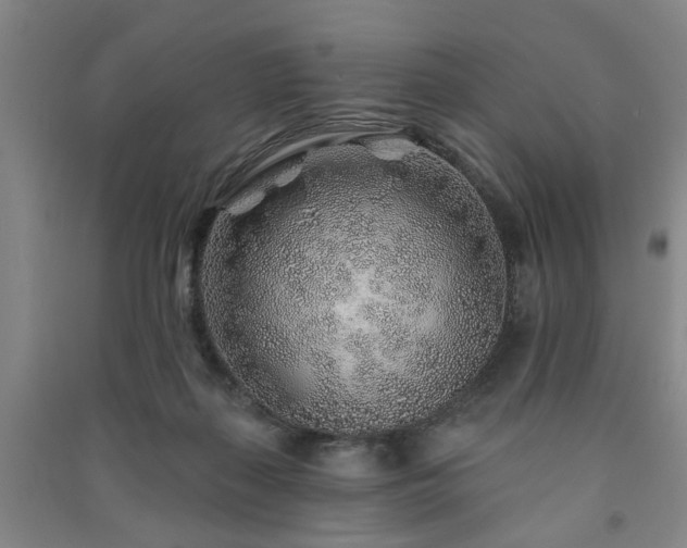 X0000091230267200708161722
