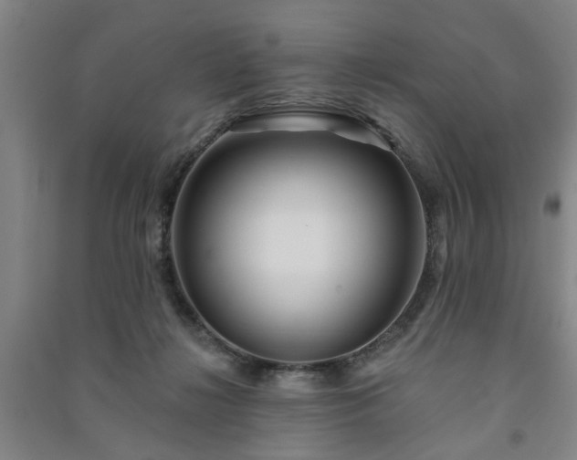 X0000091230268200708161722