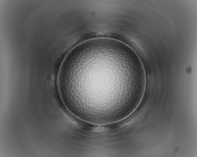 X0000091230269200708161722