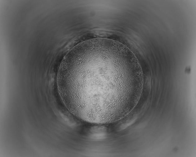 X0000091230271200708161722