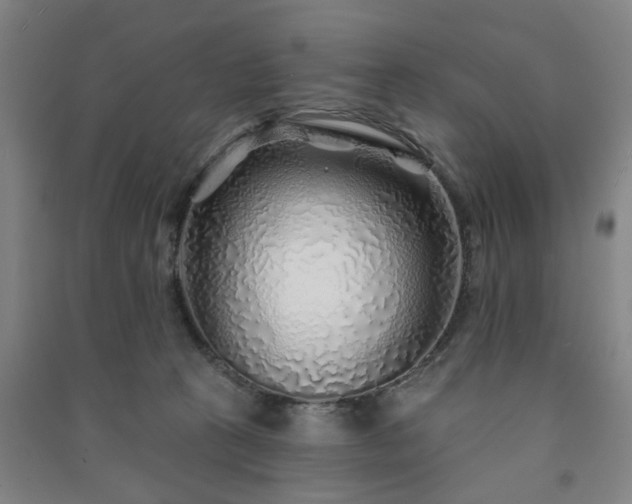 X0000091230273200708161722