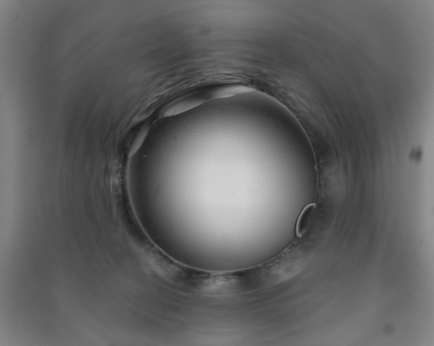 X0000091230274200708161722