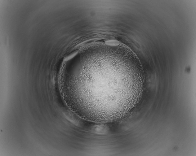 X0000091230275200708161722