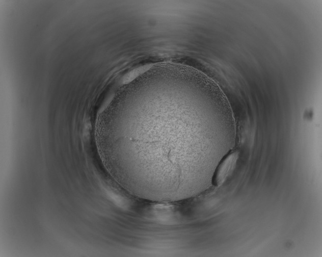 X0000091230279200708161722