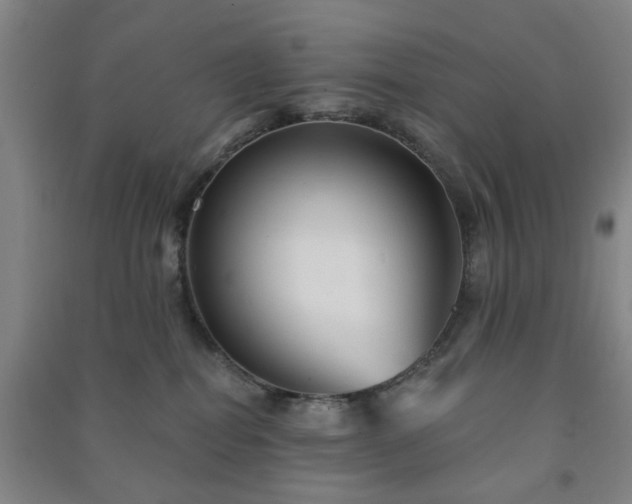 X0000091230282200708161722