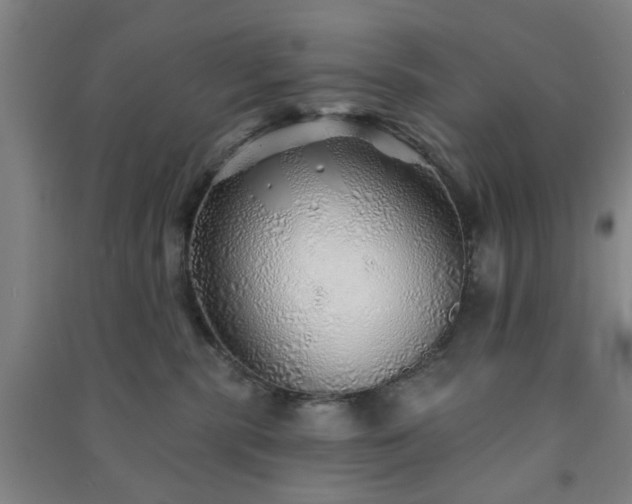 X0000091230283200708161722