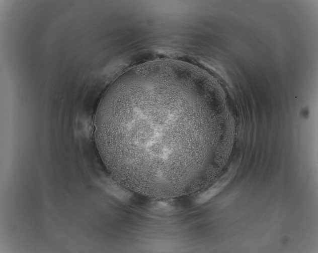 X0000091230285200708161722