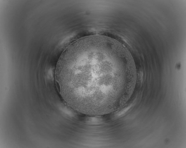 X0000091230286200708161722