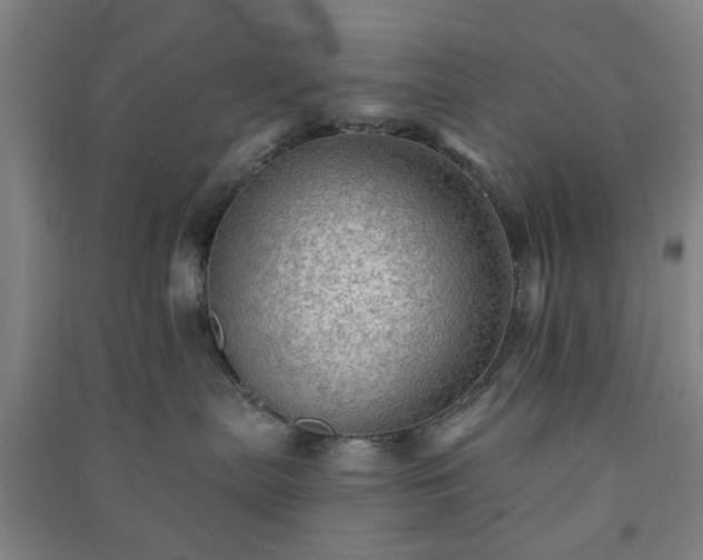 X0000091230287200708161722