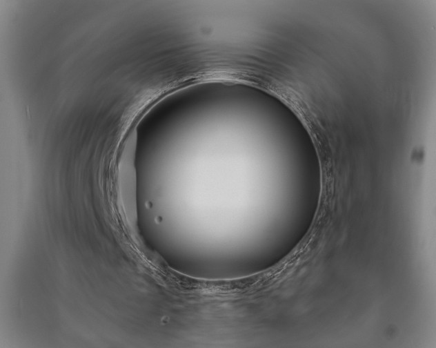 X0000091230289200708161722