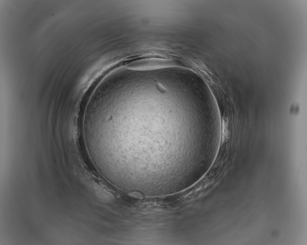 X0000091230291200708161722