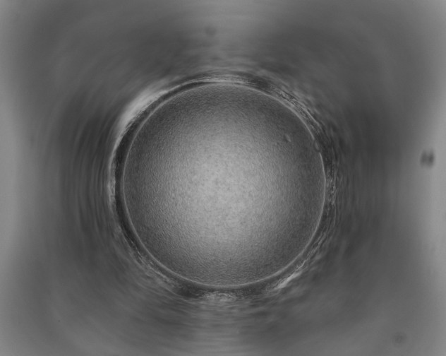X0000091230294200708161722