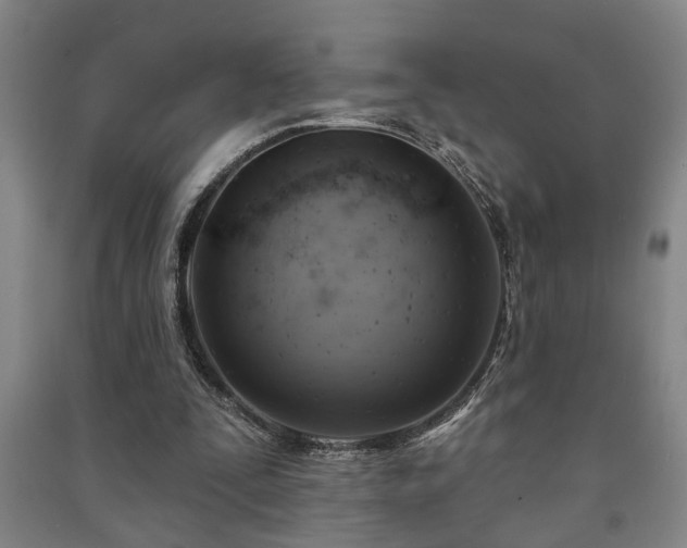 X0000091230295200708161722