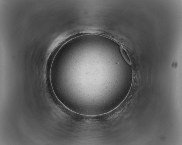 X0000091230296200708161722