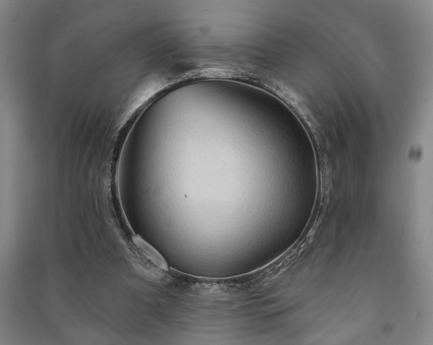 X0000091230297200708161722