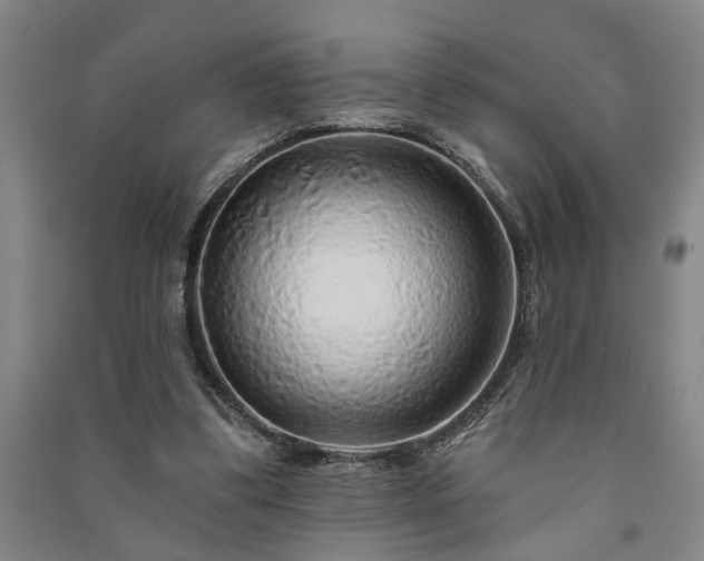 X0000091230299200708161722