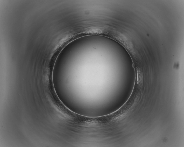 X0000091230300200708161722