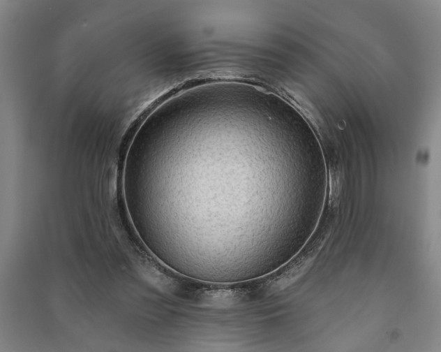 X0000091230301200708161722