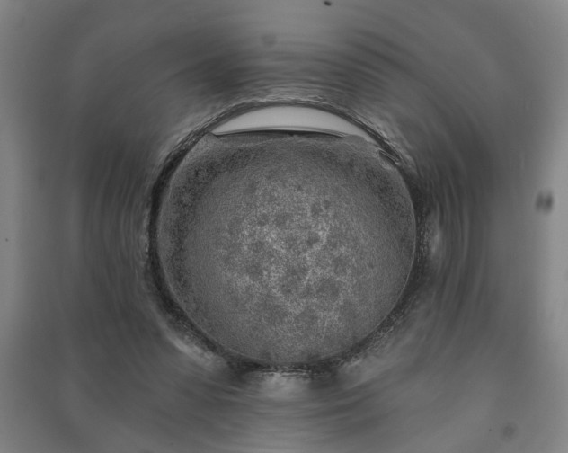 X0000091230303200708161722