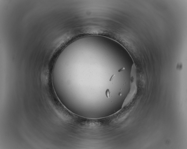 X0000091230304200708161722