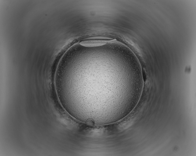 X0000091230306200708161721