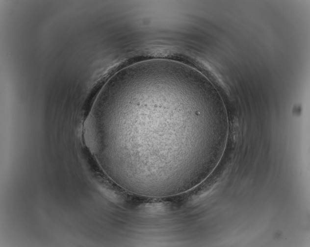 X0000091230307200708161721