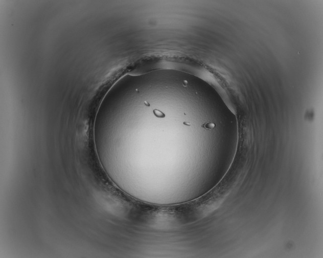 X0000091230308200708161721
