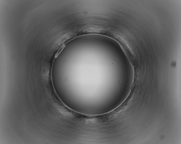 X0000091230309200708161721