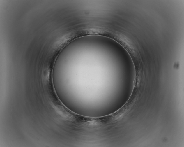 X0000091230310200708161721