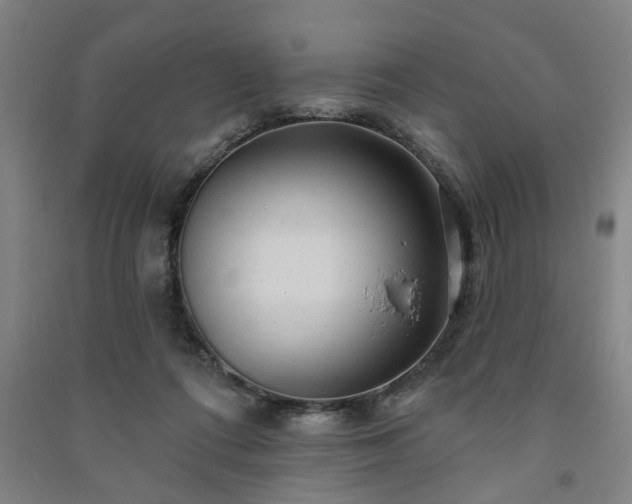 X0000091230312200708161721