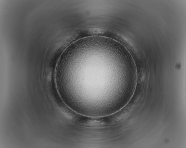 X0000091230315200708161721