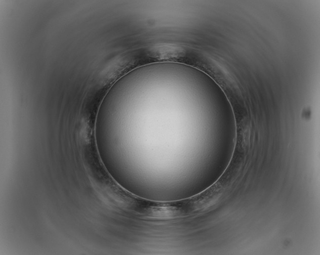 X0000091230316200708161721