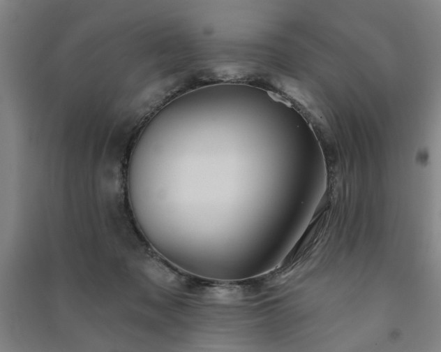 X0000091230317200708161721