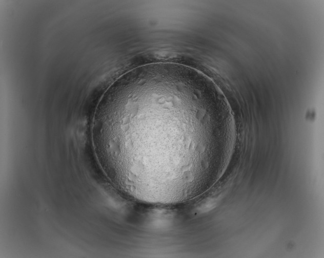 X0000091230319200708161721