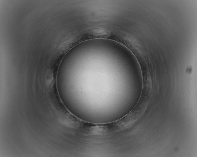 X0000091230320200708161721