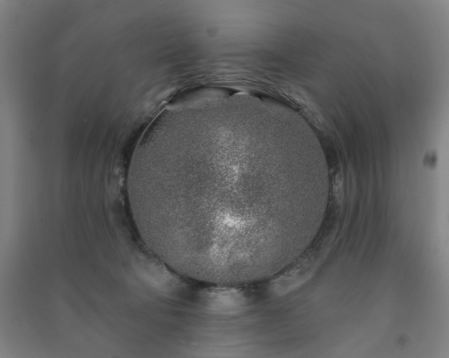 X0000091230322200708161721