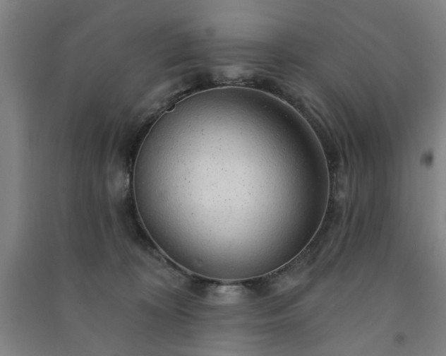X0000091230324200708161721