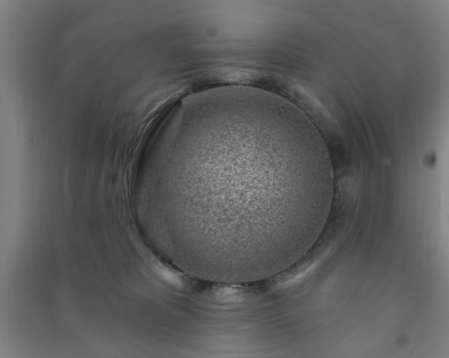 X0000091230325200708161721