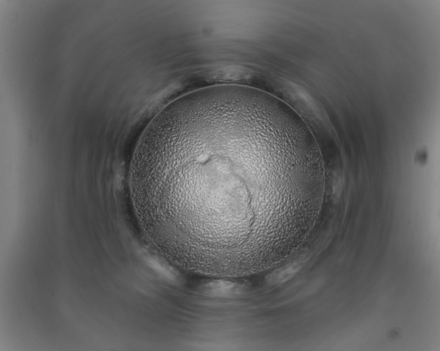 X0000091230326200708161721
